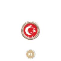 R3 Sarı